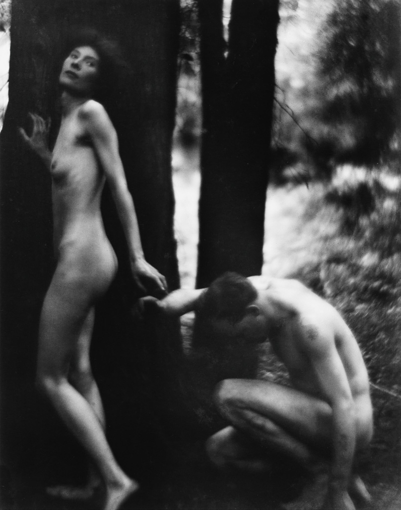 IMOGEN CUNNINGHAM (1883-1976) The Supplicant.